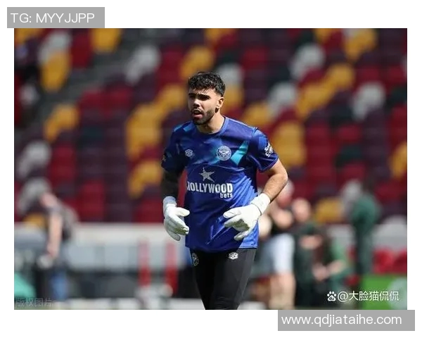 热刺足球明星头像大揭秘球场上的璀璨之星与他们的故事 热刺足球明星头像大揭秘球场上的璀璨之星与他们的故事