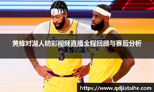 黄蜂对湖人精彩视频直播全程回顾与赛后分析